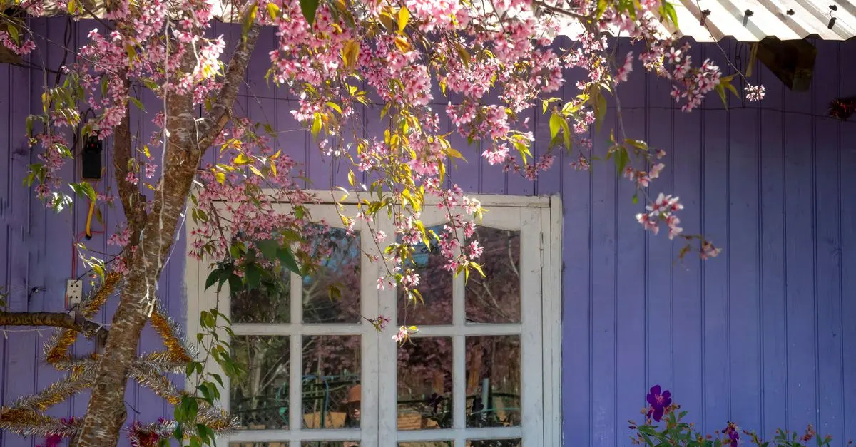 Cómo hacer una casita de madera para jardín: guía completa