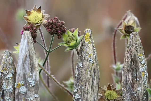 10 consejos para crear un jardín vertical en casa