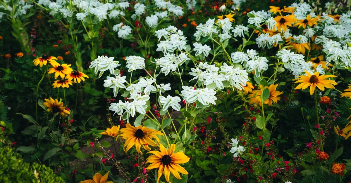 Cómo hacer un jardín en casa: guía paso a paso