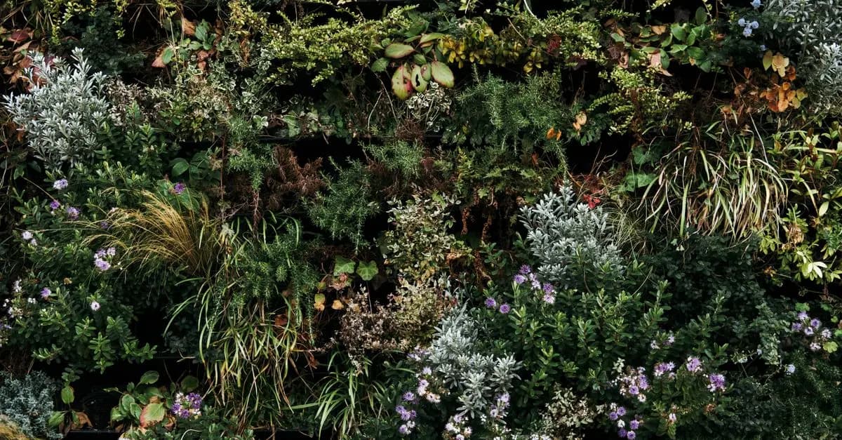 Cómo hacer un jardín vertical en casa: beneficios y consejos
