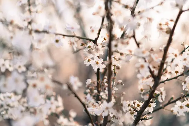 10 consejos para hacer un jardín vertical en casa