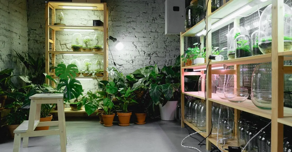 Cómo hacer un estante de madera para un jardín vertical en casa