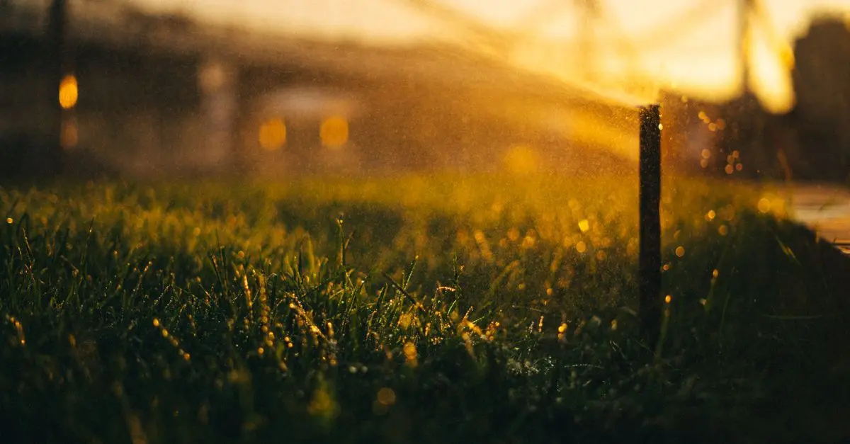 Cómo elegir el mejor sistema de riego para tu jardín