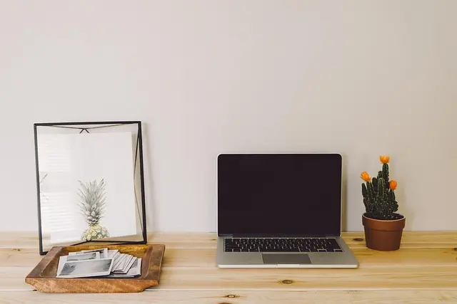 Cómo hacer un jardín vertical en casa: beneficios y consejos prácticos