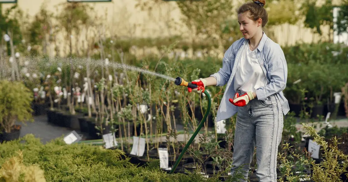 Cómo elegir el mejor riego por goteo para tus plantas