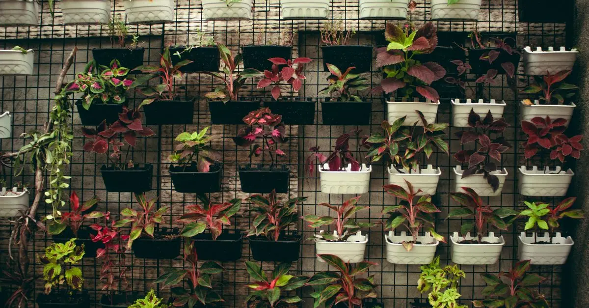 Cómo hacer un jardín vertical en casa: beneficios y consejos prácticos