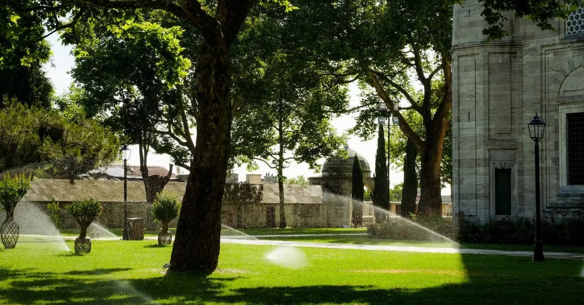 Cómo elegir el mejor sistema de riego para tu jardín