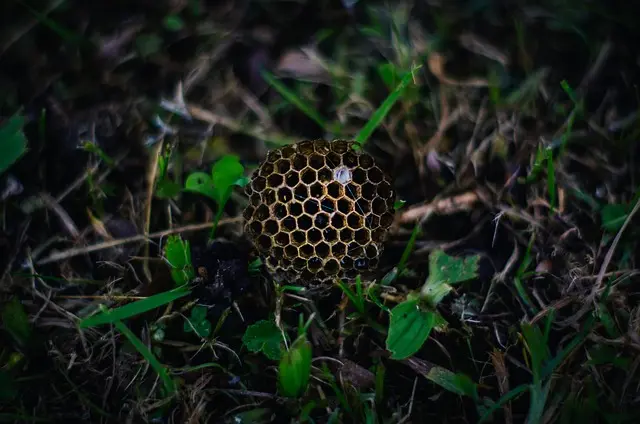 Cómo elegir el sistema de riego más eficiente para tu jardín