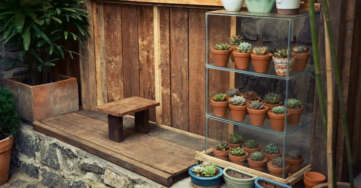 Cómo hacer un jardín vertical en espacios reducidos: guía práctica