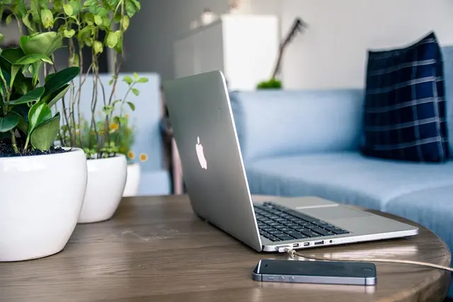 Cómo hacer un jardín vertical en casa: ideas y consejos prácticos