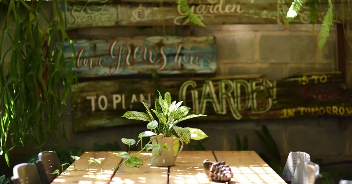 Cómo hacer un mueble de jardinería DIY: guía paso a paso