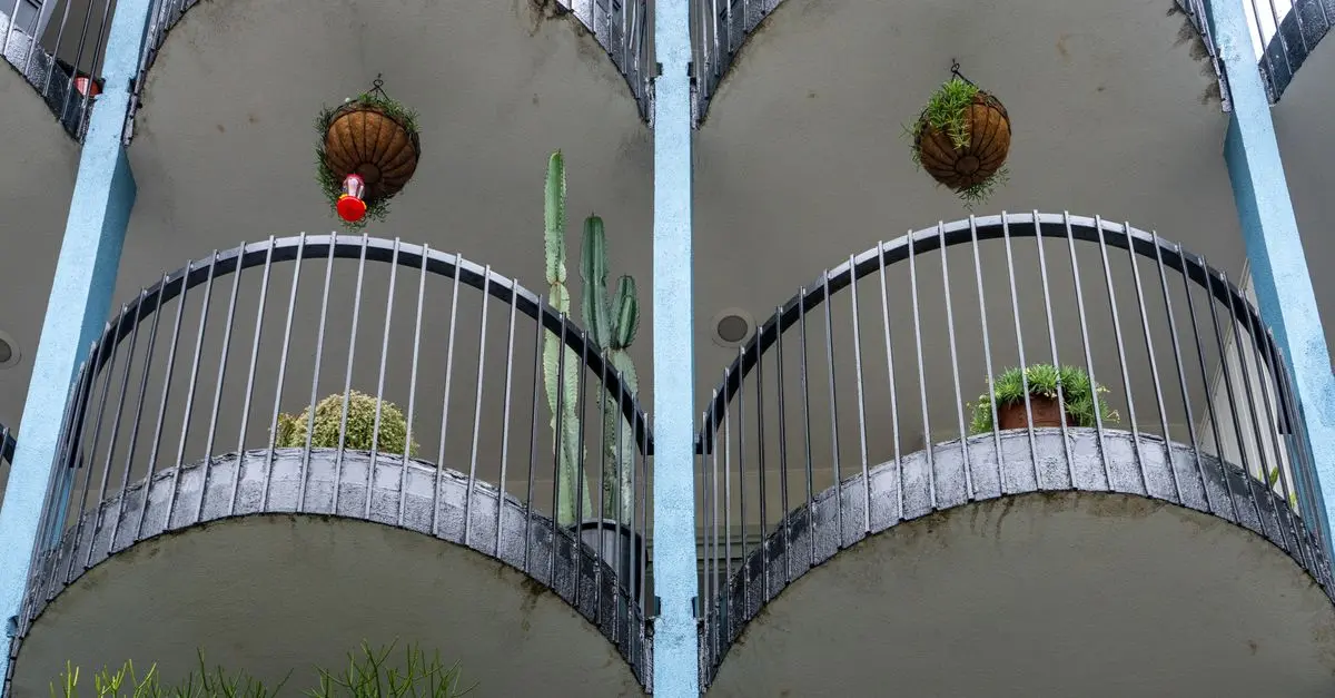 10 consejos para hacer un jardín vertical en casa