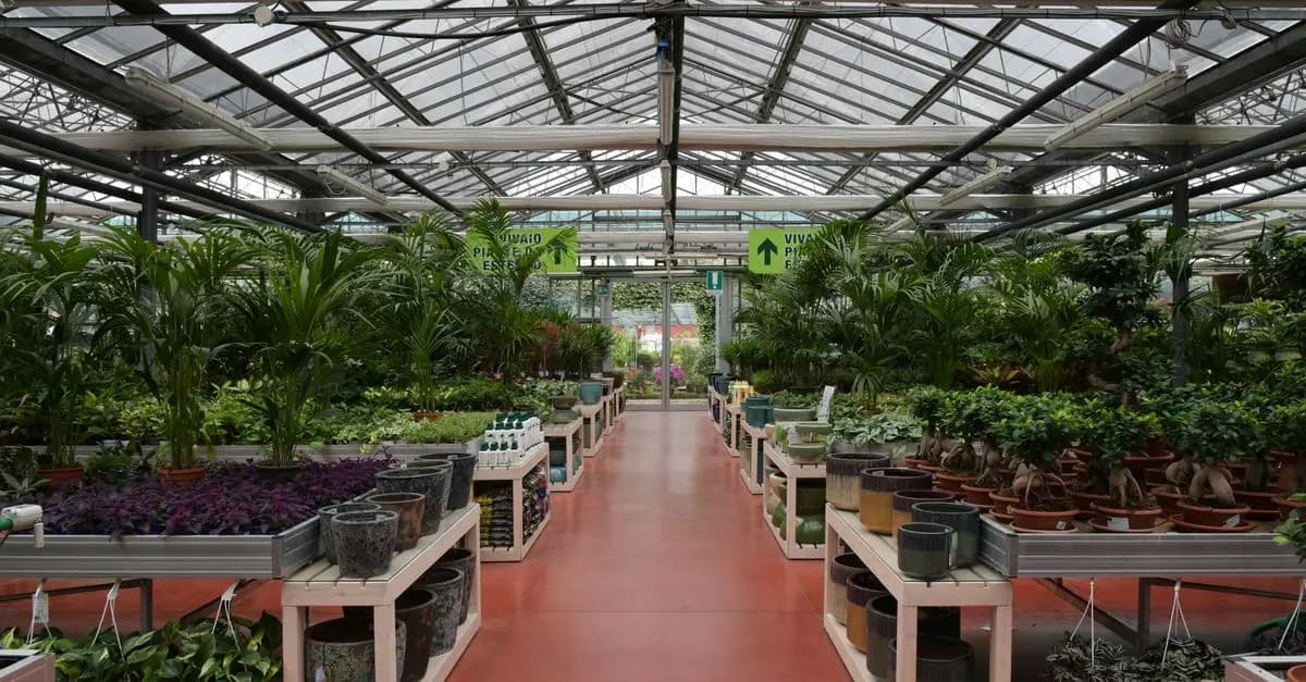 Cómo elegir el mejor sistema de riego para tu jardín