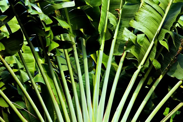 Cómo hacer un jardín vertical en casa: consejos prácticos