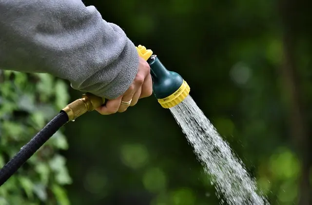 Cómo elegir el mejor sistema de riego por goteo para tu jardín