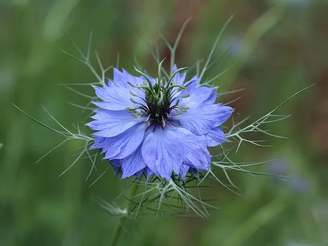 Cómo elegir el sistema de riego más eficiente para tu jardín