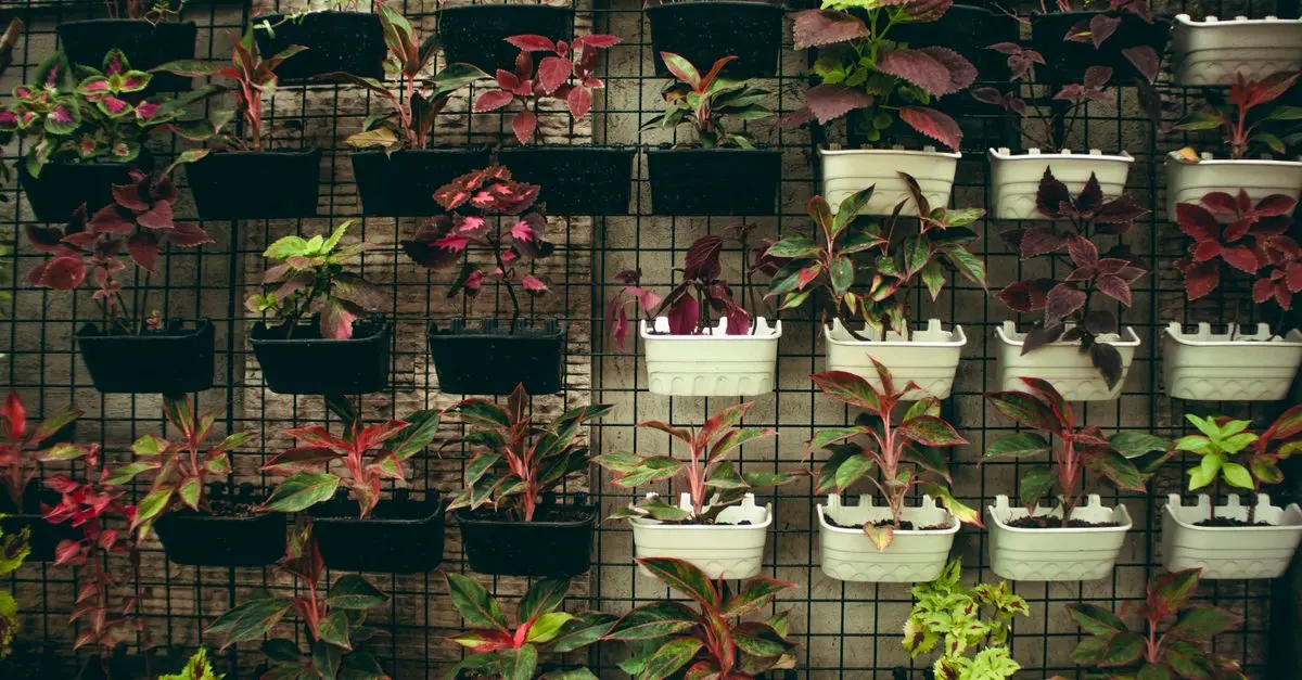 Cómo hacer un jardín vertical en casa