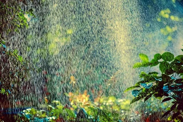 Cómo elegir el sistema de riego más eficiente para tu jardín
