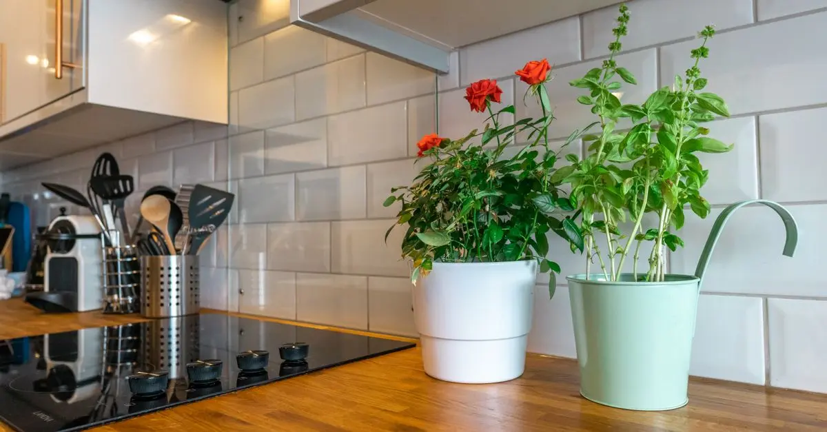 Cómo hacer un jardín vertical en espacios reducidos: guía práctica