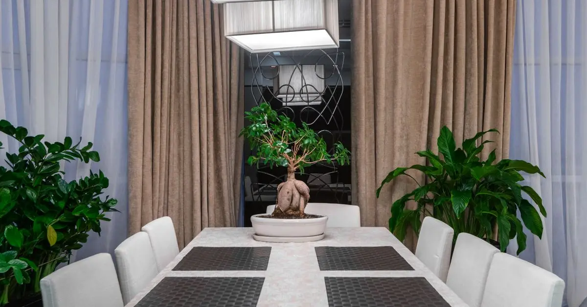 Cómo hacer un jardín vertical en casa: beneficios y consejos útiles