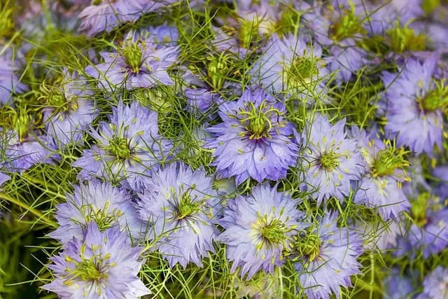 10 consejos para hacer un jardín vertical en casa