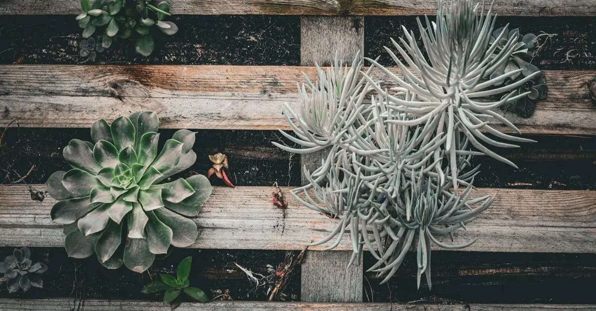 Cómo hacer una mesa de jardín con palets reciclados