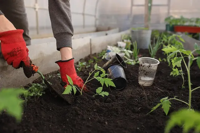 Cómo hacer un huerto urbano en casa: guía práctica