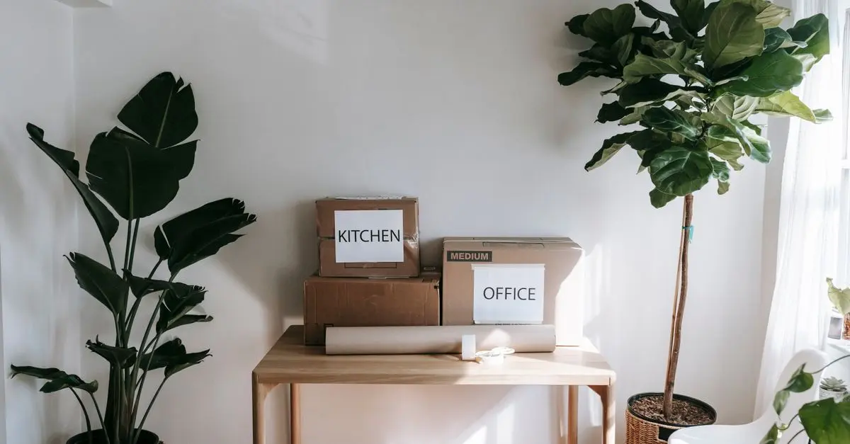 10 consejos para crear un hogar más sostenible