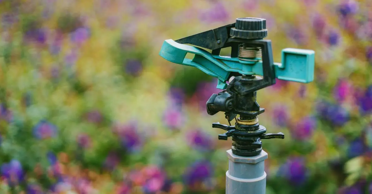 Cómo elegir el mejor sistema de riego por goteo para tu jardín