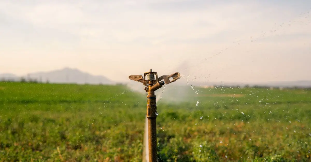 Cómo elegir el mejor sistema de riego para tu jardín