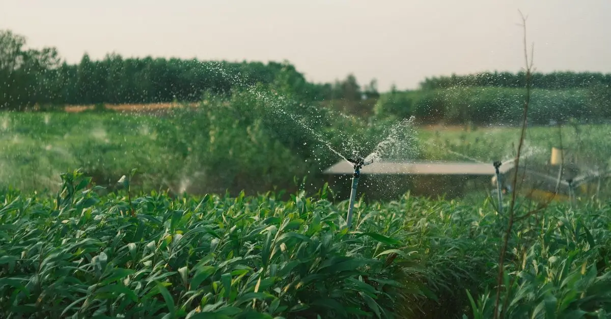 10 consejos para elegir el mejor sistema de riego para tu jardín