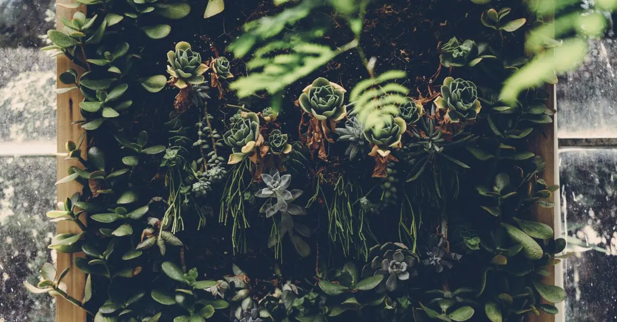 Cómo crear un jardín vertical: Guía paso a paso