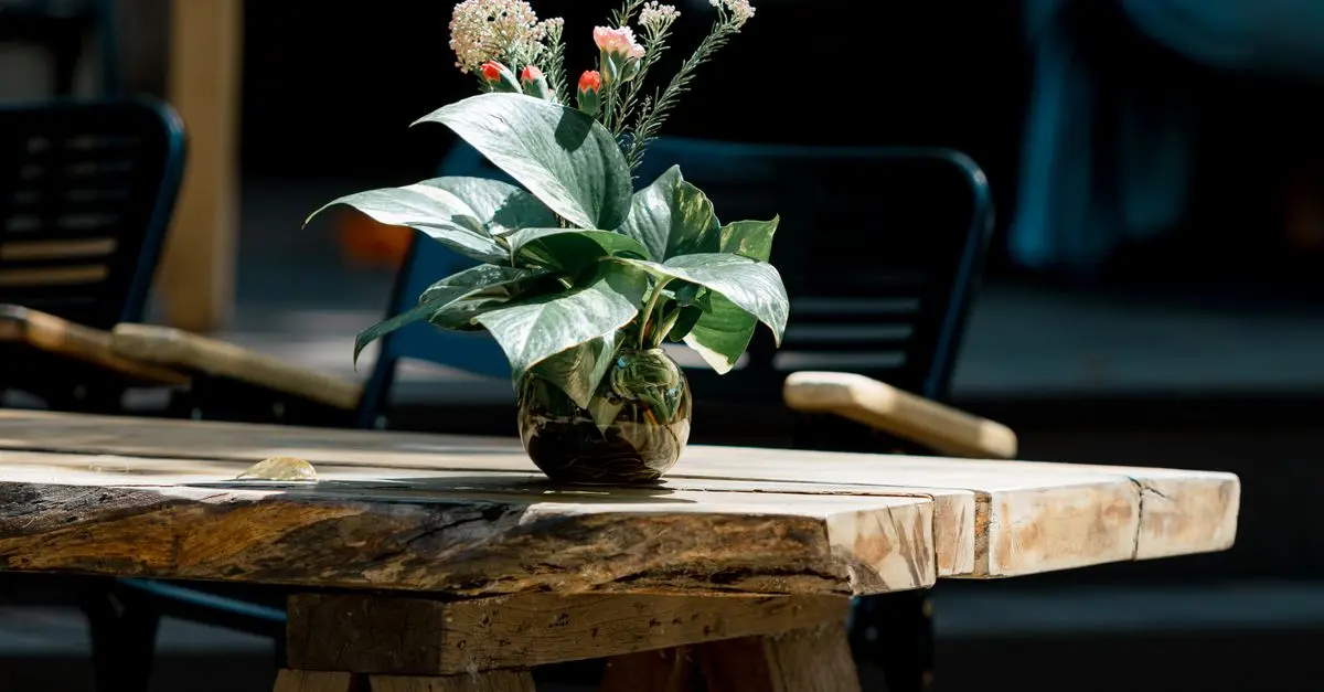 Cómo hacer una mesa de madera rústica: guía paso a paso