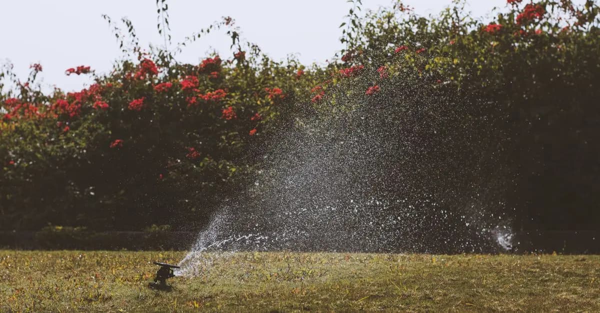 Guía completa para elegir el sistema de riego ideal para tu jardín