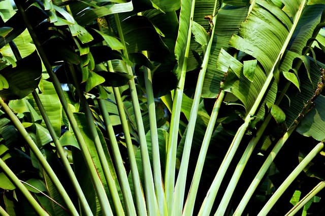 Cómo elegir el sistema de riego más eficiente para tu jardín